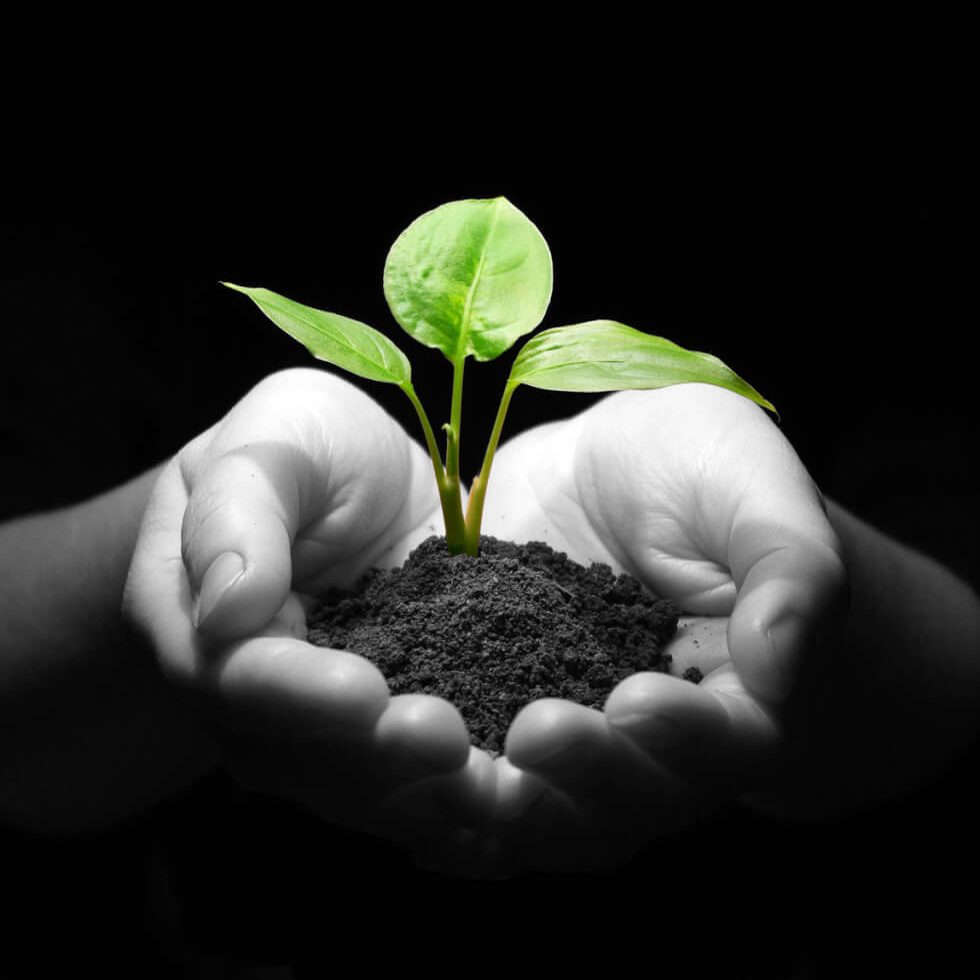 Let-the-natural-therapies-of-the-mind-help-980×1024