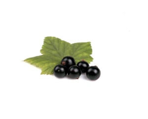 acai-berries-300×241