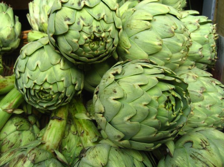 artichoke 2