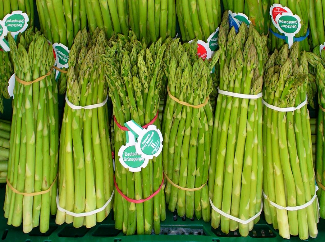 asparagus wiki 3