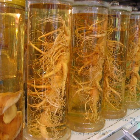 ginseng-1-wikipedia