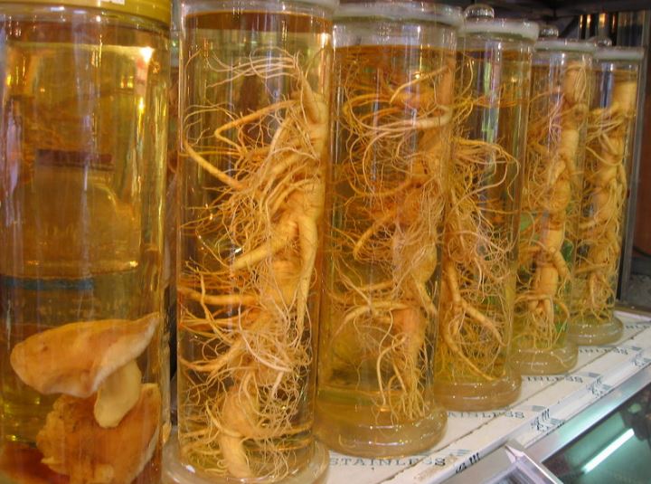 ginseng 1 wikipedia