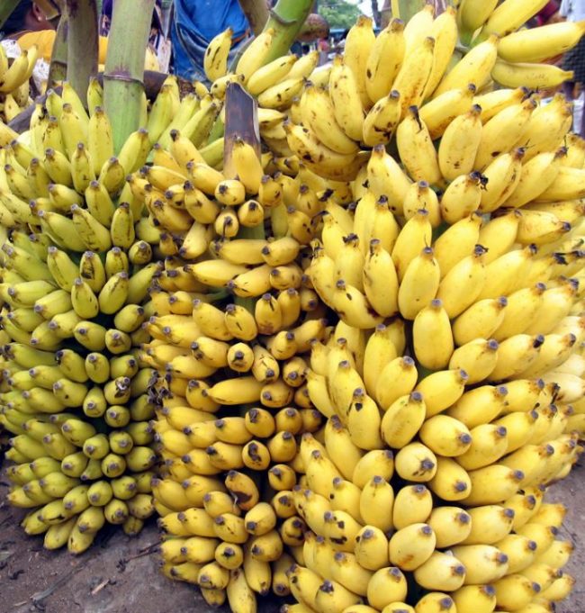 banana-1
