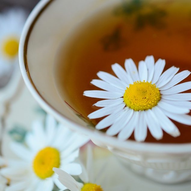 Medicine Chamomile Tee Chamomile Tea Naturopathy