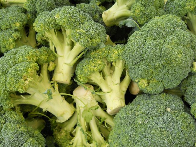 broccoli-1