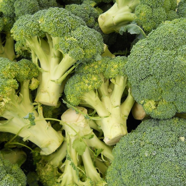 broccoli-1