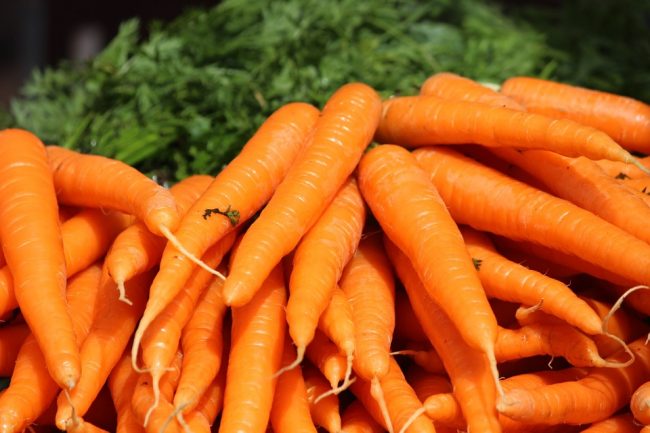 the-carrot