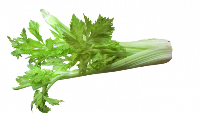 celery-e1509678481433