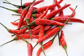 chili-pepper
