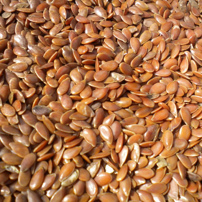 flax-seed