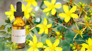 St. John's Wort