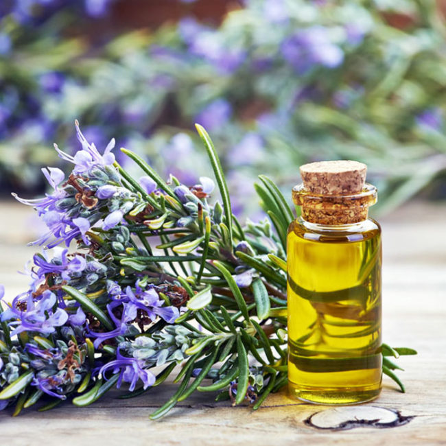 the-greenleafherbal-rosemary-oil