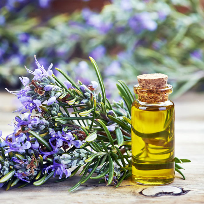 the-greenleafherbal-rosemary-oil